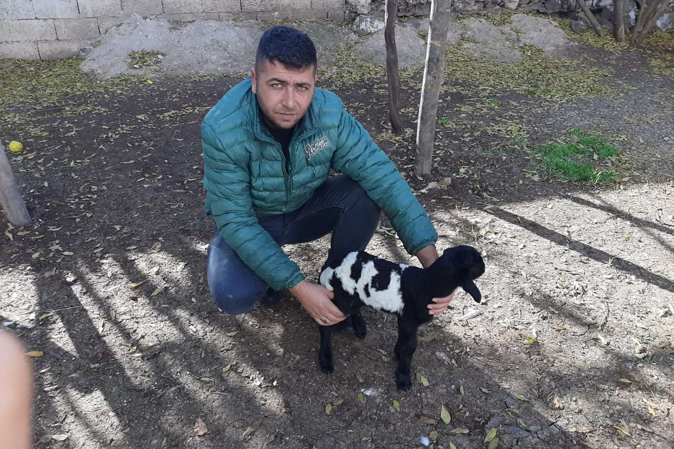 “Allah” lafzı yazılı kuzu ilgi odağı oldu “Allah” lafzı yazılı kuzu ilgi odağı oldu
